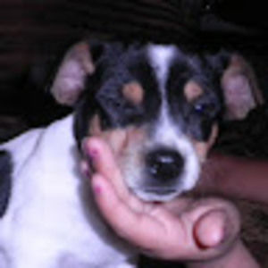 Meet your Posher, Omar